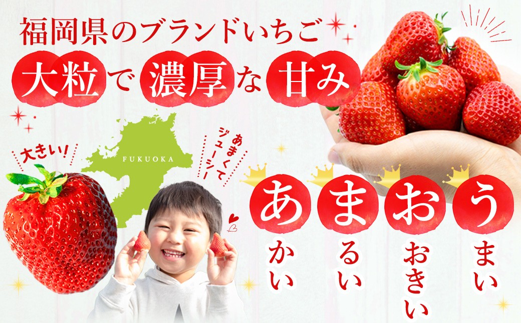 【数量限定】【2026年2月上旬～4月上旬発送予定】福岡県産 あまおう 270g×2パック