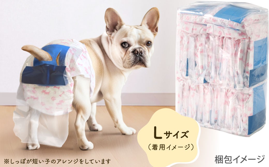 うんぽパンツ Lサイズ 55個入り