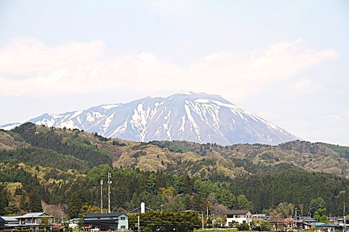 自然豊かな滝沢市でサツマイモを育てています。