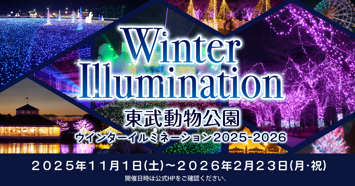 今年の冬も東武動物公園ならではの“カラフル”なイルミネーションをお楽しみください。