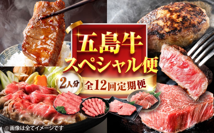 牛肉 和牛 五島列島 五島市 ステーキ すてーき ハンバーグ はんばーぐ 薄切り 焼き肉 焼肉 定期便