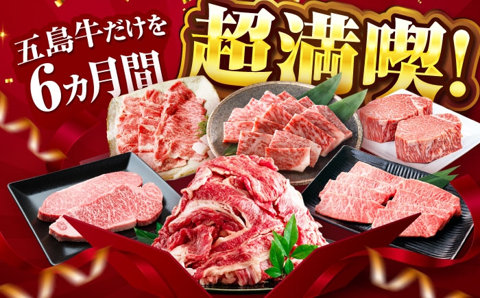 肉 牛肉 和牛 五島牛 ごとうぎゅう 五島市 長崎県 長崎 定期便 国産 九州 厳選 ブランド牛 プレミアム 最高級 25万