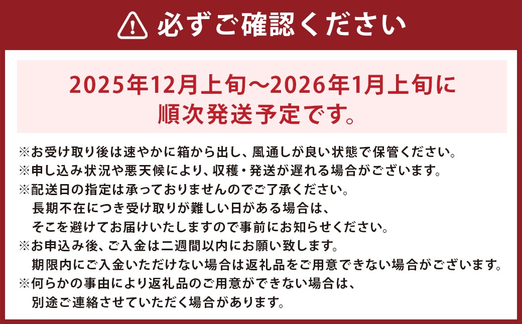 長崎みかん 約10kg 糖度10度 【 長崎西彼農業協同組合 】
