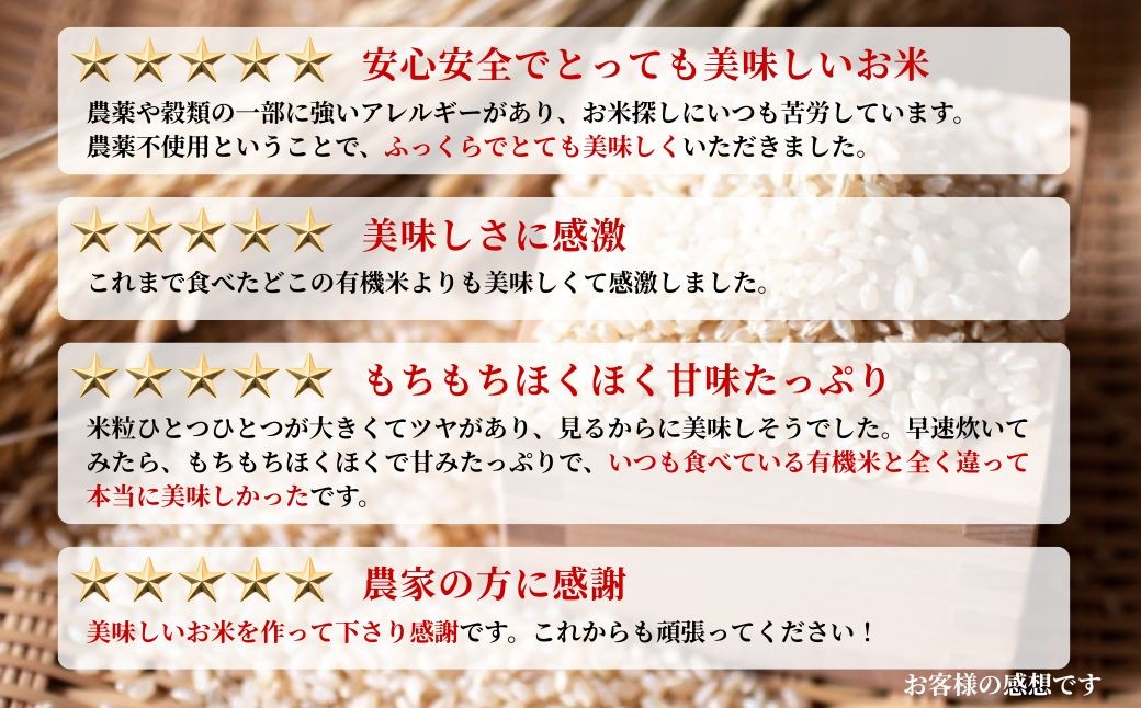 【先行予約】JAS有機米 コシヒカリ 天のつぶ 食べ比べセット 令和7年産 選べる容量&白米玄米 | 精米 玄米 JAS 有機米