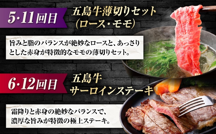 牛肉 和牛 五島列島 五島市 ステーキ すてーき ハンバーグ はんばーぐ 薄切り 焼き肉 焼肉 定期便