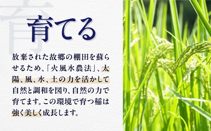 大洲 神南乃酒 日本酒 清酒 地酒 限定品 375ml 愛媛 愛媛 日本酒 地酒 大洲市 神南乃酒 地方創生 棚田 農家 酒屋