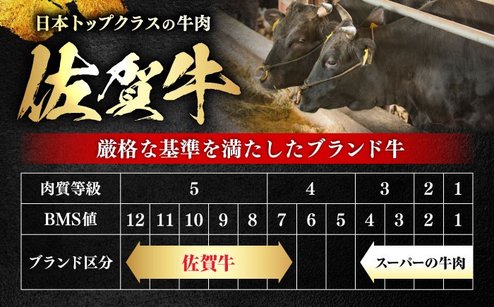 牛肉 肉 黒毛和牛 佐賀牛 和牛 佐賀 牛 A5 国産 料理 焼肉 冷凍 保存 赤身 赤身ステーキ バーベキュー