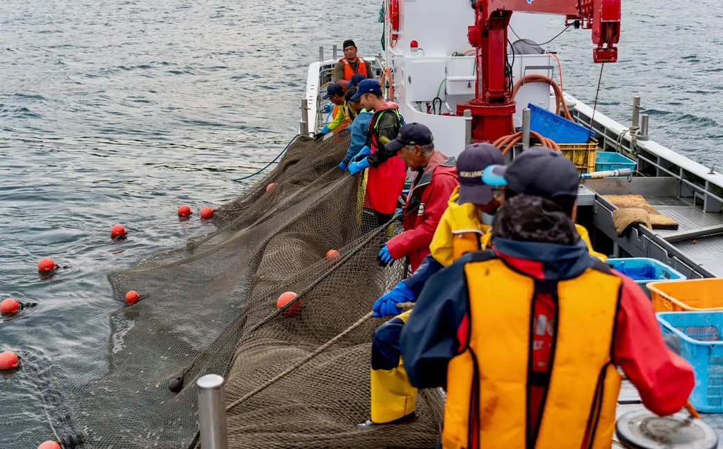 北海道産【半生仕上げ】活〆してつくる茹でタコ(3D冷凍)  3～5パック約1kg