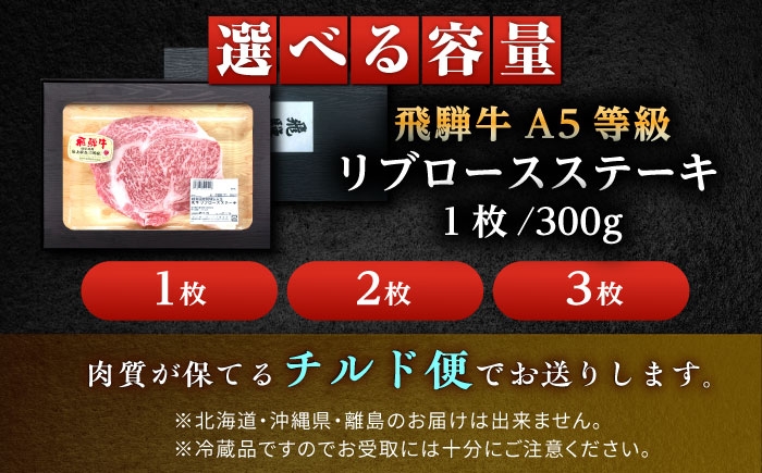 飛騨牛 A5等級 リブロース ステーキ 牛肉 和牛 高級 焼肉  冷蔵 新鮮 贈答 ギフト おすすめ 人気 岐阜県 恵那市