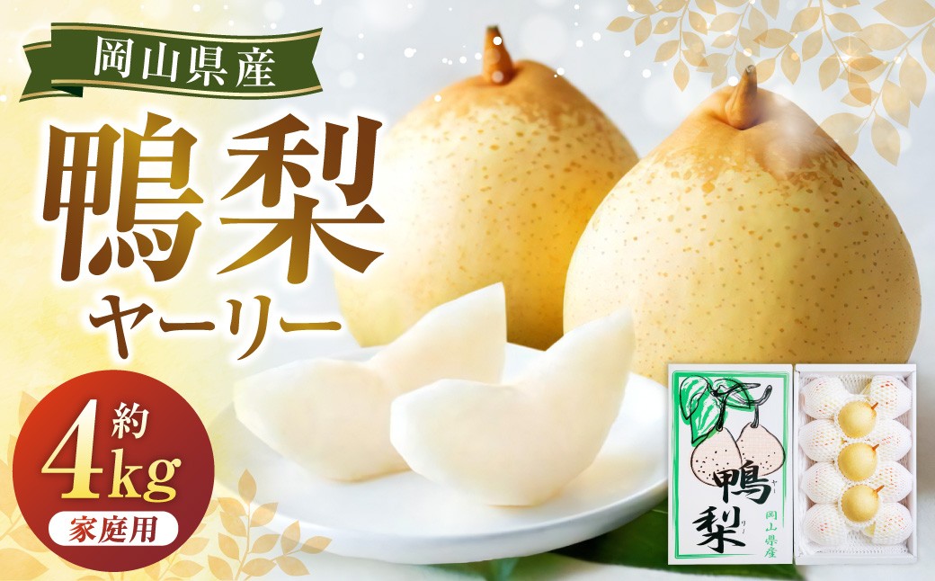 鴨梨（ヤーリー） 6～13玉 合計約4kg ご家庭用