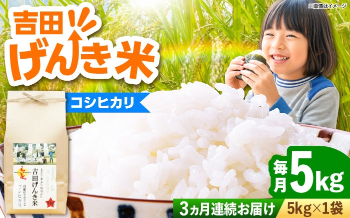 新米 米 白米 コシヒカリ 定期便