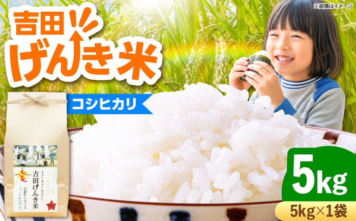 新米 米 白米 コシヒカリ 5kg