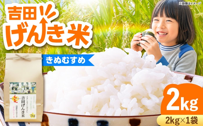 白米 おこめ げんき米 新米 単品 きぬむすめ ごはん お弁当 国産 おいしい 