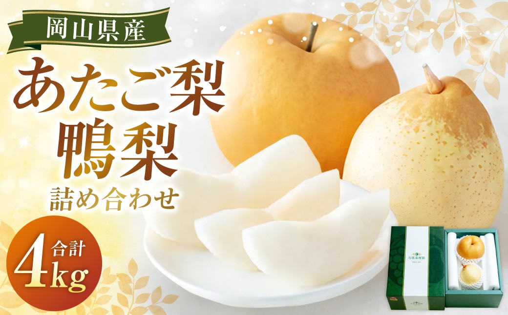 あたご梨 2～3玉・鴨梨（ヤーリー）3～7玉 詰合せ 合計約4kg 化粧箱