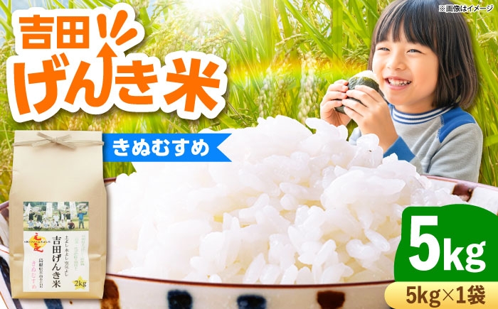 白米 おこめ げんき米 新米 単品 きぬむすめ ごはん お弁当 国産 おいしい 