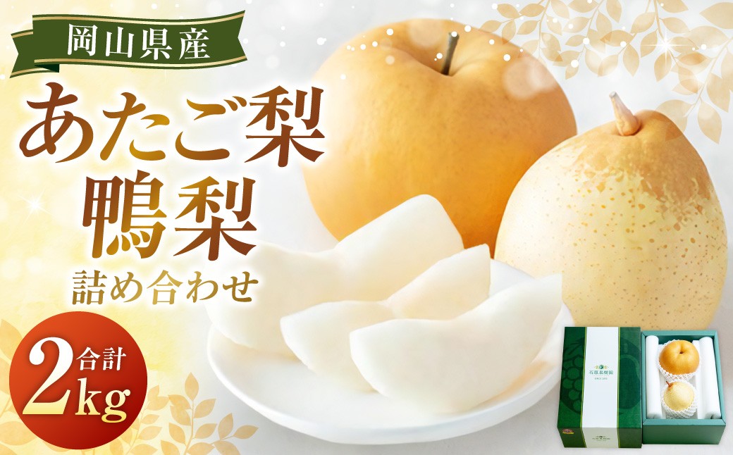 あたご梨・鴨梨（ヤーリー）詰合せ 2玉 合計約2kg 贈答箱
