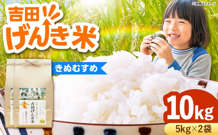 白米 おこめ げんき米 新米 単品 きぬむすめ ごはん お弁当 国産 おいしい 