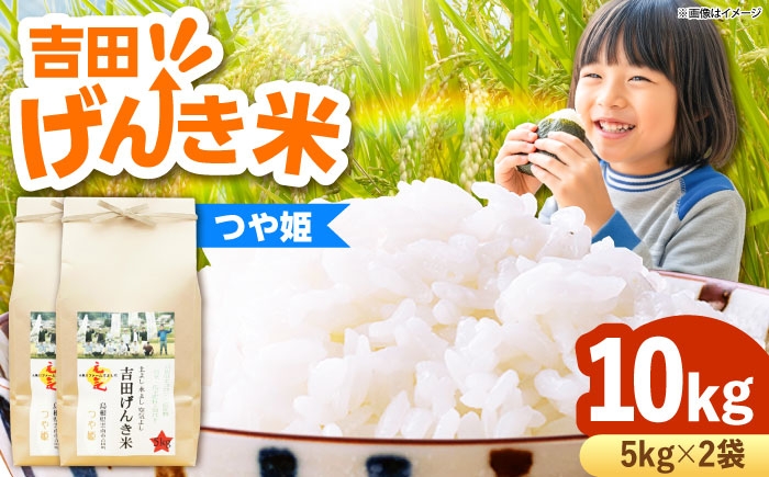 白米 おこめ げんき米 新米 単品 つや姫 ごはん お弁当 国産 おいしい 