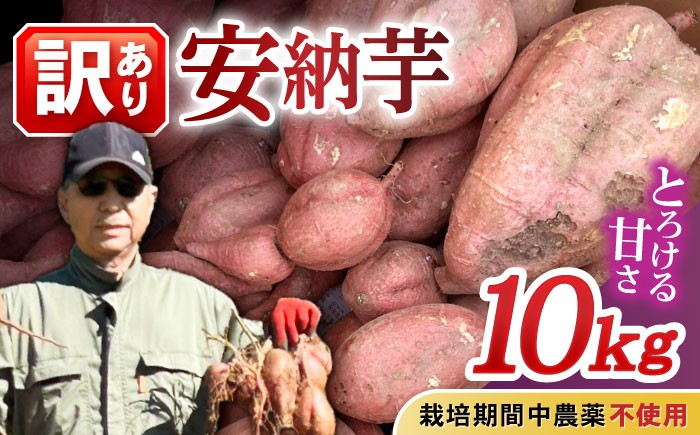 訳あり 栽培期間中農薬不使用 安納芋 さつまいも 10kg