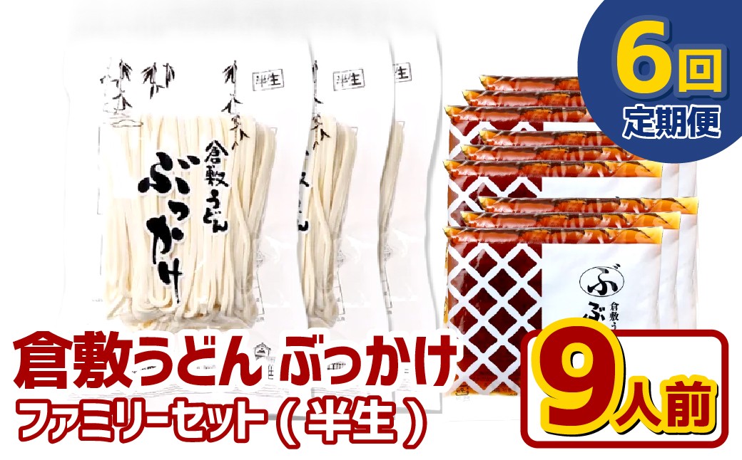【6ヶ月定期便】『倉敷うどん ぶっかけ』ファミリーセット(半生) 9人前×6回