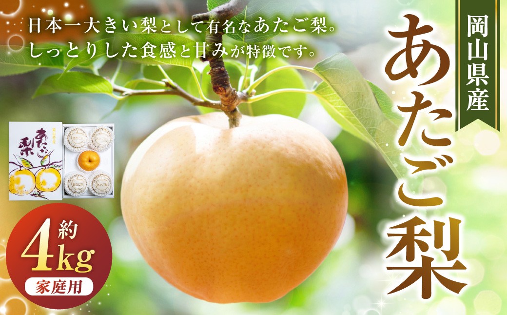 あたご梨 3～9玉 合計約4kg ご家庭用