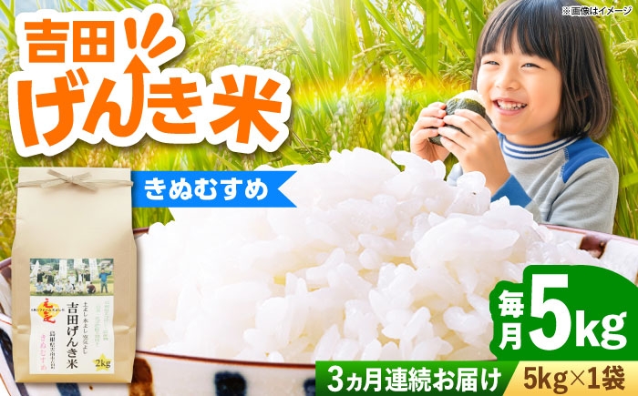 白米 こめ げんき米 新米 定期便 きぬむすめ ごはん お弁当 国産 おいしい 