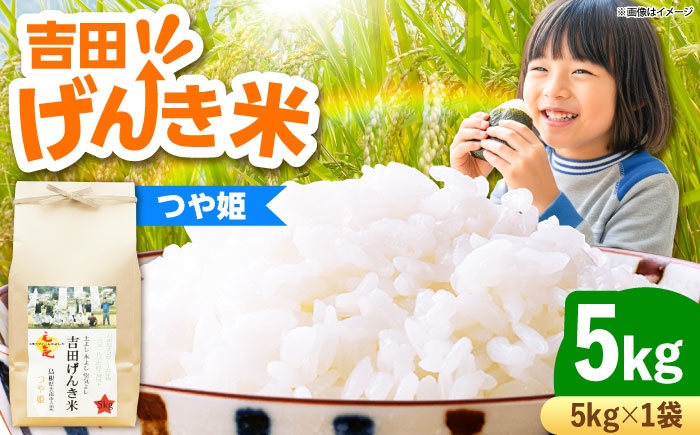 白米 おこめ げんき米 新米 単品 つや姫 ごはん お弁当 国産 おいしい 