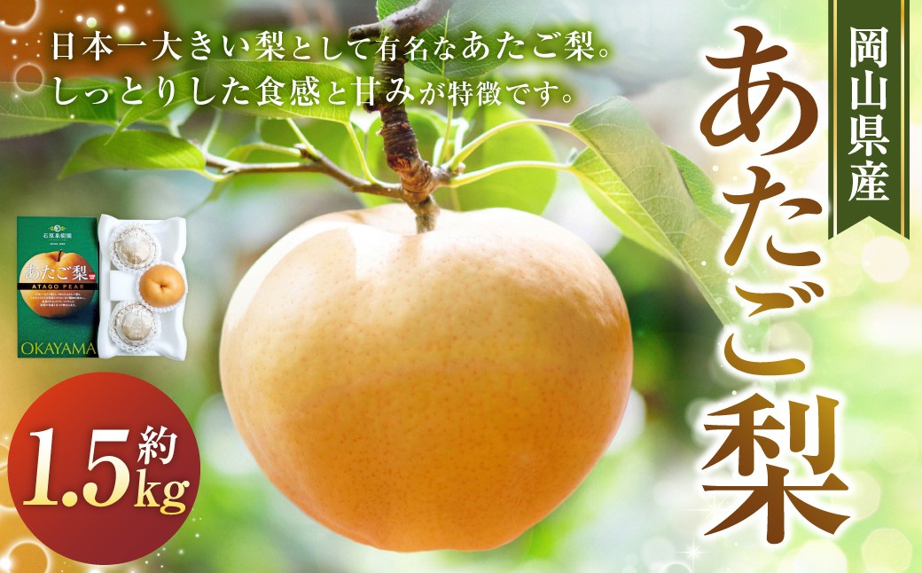 あたご梨 3～4玉 約400～500g 合計約1.5kg以上 化粧箱
