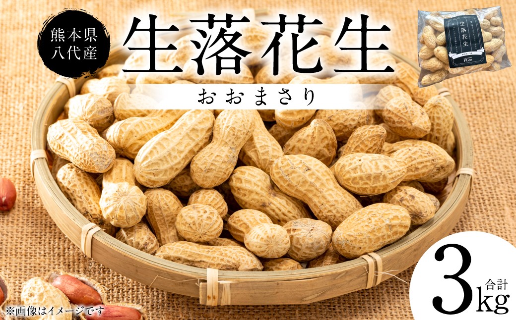 熊本県 八代産 生落花生 [おおまさり] 3kg
