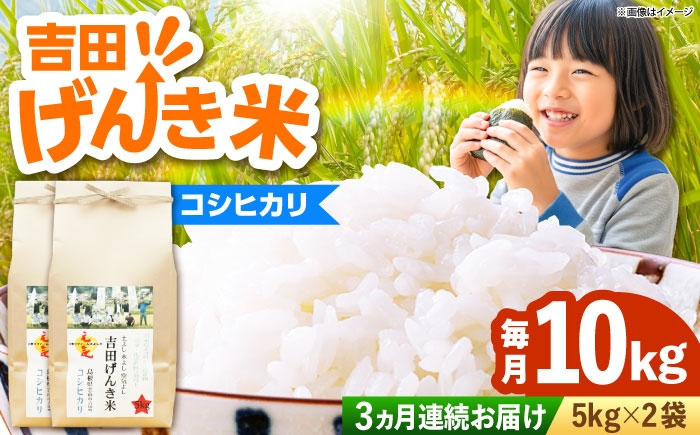 新米 米 白米 コシヒカリ 定期便