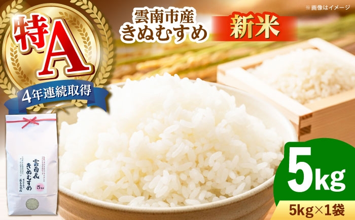 米 5キロ 新米 特A米