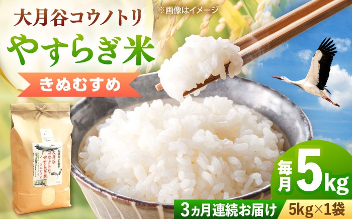 白米 こめ コウノトリやすらぎ米 新米 定期便 ごはん お弁当 国産 おいしい 