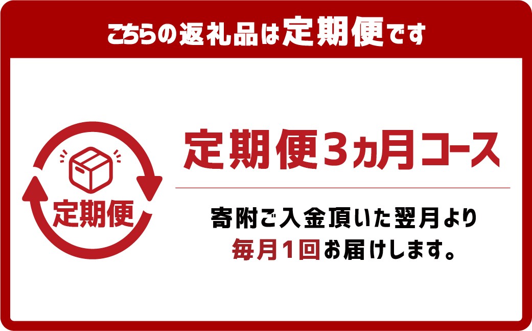 【3ヶ月定期便】『倉敷うどん ぶっかけ』ファミリーセット(半生) 9人前×3回