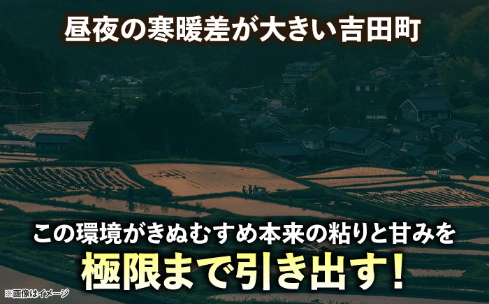 白米 こめ げんき米 新米 定期便 きぬむすめ ごはん お弁当 国産 おいしい 