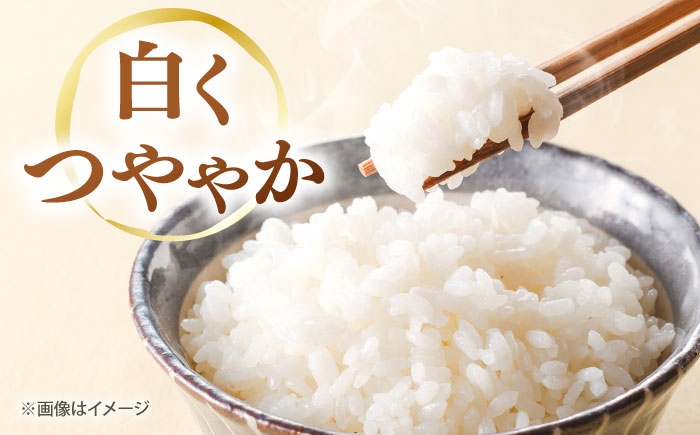 白米 こめ コウノトリやすらぎ米 新米 精米 ごはん お弁当 国産 おいしい 