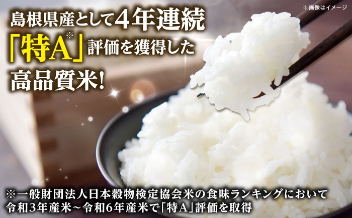 米 10キロ 新米 特A米