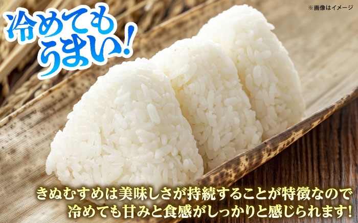 米 定期便 5キロ 新米 特A米