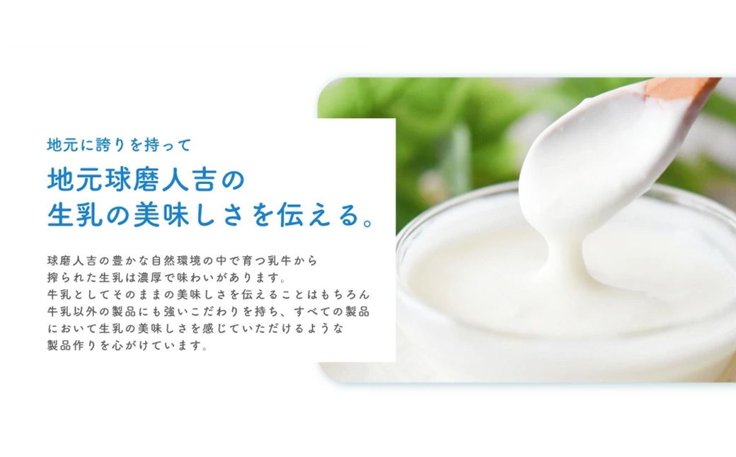 【3ヶ月定期便】 球磨の恵み ヨーグルト (砂糖不使用) 合計 9kg