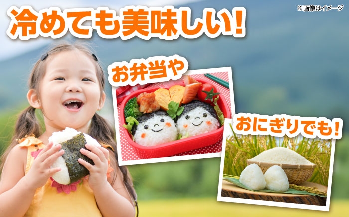 白米 おこめ げんき米 新米 単品 つや姫 ごはん お弁当 国産 おいしい 