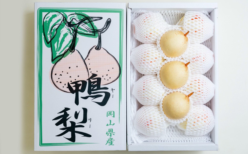 鴨梨（ヤーリー） 6～13玉 合計約4kg ご家庭用
