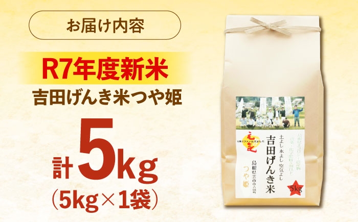 白米 おこめ げんき米 新米 単品 つや姫 ごはん お弁当 国産 おいしい 