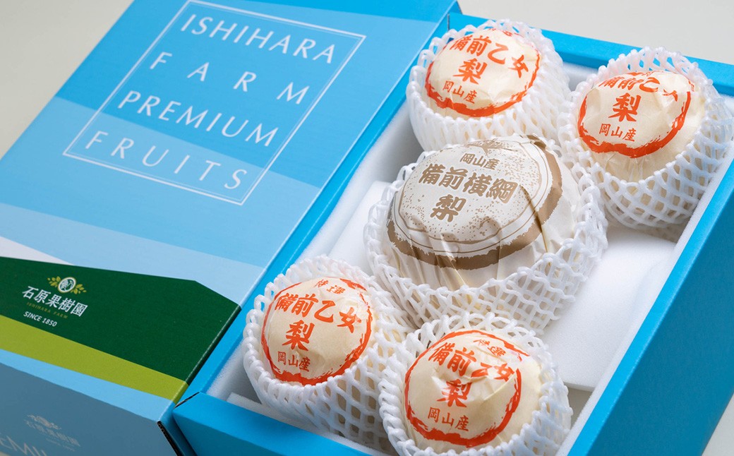 備前横綱 1玉（約1～1.4kg）・備前乙女梨 3～5玉 詰め合わせ 合計約3kg