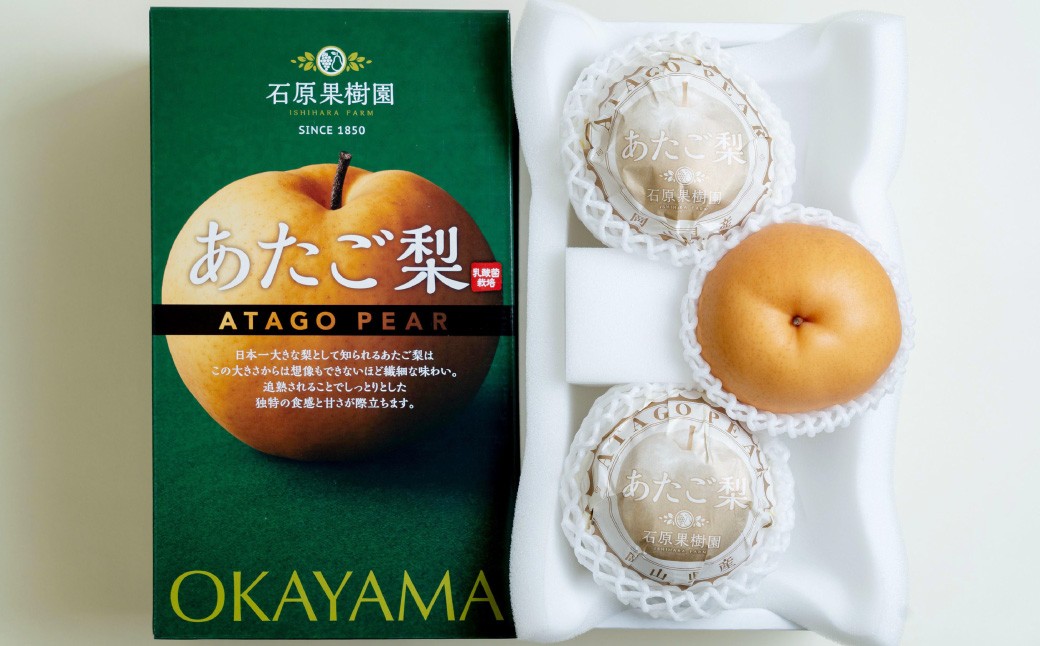 あたご梨 3～6玉 合計約3kg 化粧箱