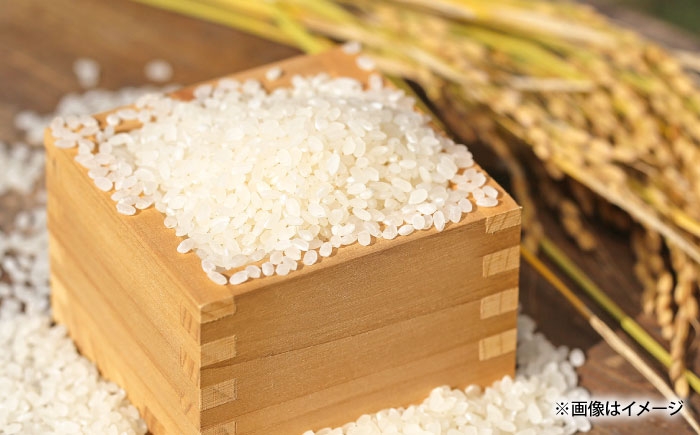 白米 こめ コウノトリやすらぎ米 新米 精米 ごはん お弁当 国産 おいしい 