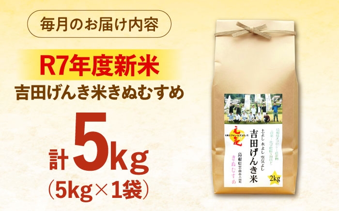 白米 こめ げんき米 新米 定期便 きぬむすめ ごはん お弁当 国産 おいしい 