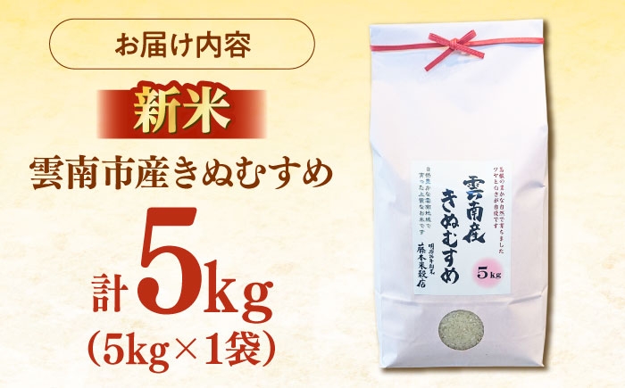 米 5キロ 新米 特A米