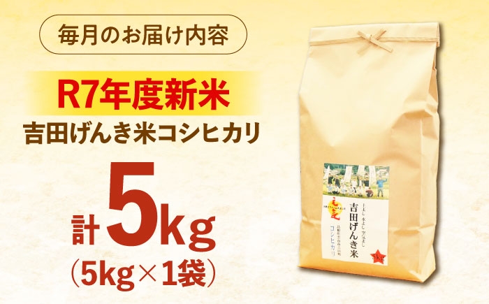 新米 米 白米 コシヒカリ 定期便