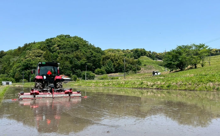 島根県 雲南市 大東町 ブランド米 インディカ米 プリンセスサリー 国産 小分け 人気 おすすめ 在庫限り 数量限定