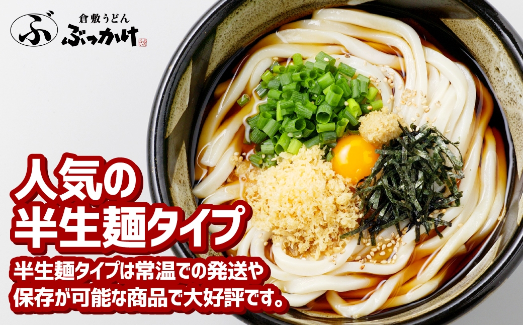 【6ヶ月定期便】『倉敷うどん ぶっかけ』ファミリーセット(半生) 24人前×6回