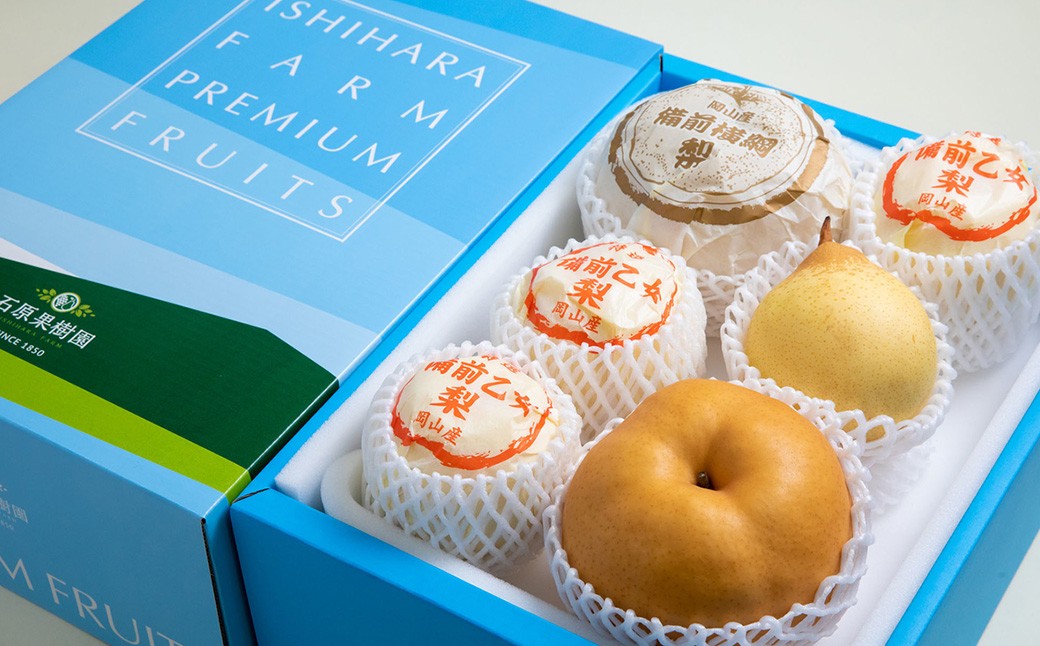 備前横綱 2玉（約1～1.4kg）・備前乙女梨 4～6玉 詰め合わせ 合計約4kg